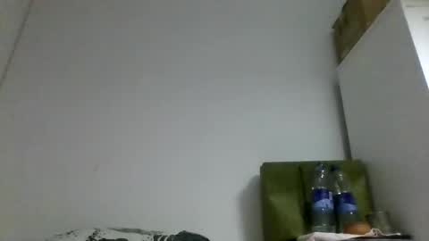 Rous online show from 22, 10, 2025