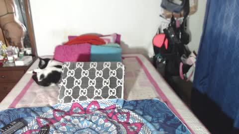 Snapshot of rousse_ellise1 chatting on 29, 12, 2024 rousse online show from 29, 12, 2024