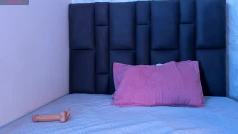 Snapshot of ruby_nights chatting on 2, 7, 2026 ruby_nights online show from 2, 7, 2026