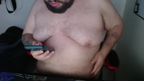 Bear online show from 16, 2, 2026