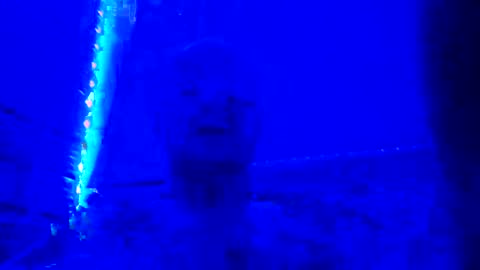 Snapshot of russialoveskm chatting on 8, 1, 2025 russialoveskm online show from 8, 1, 2025