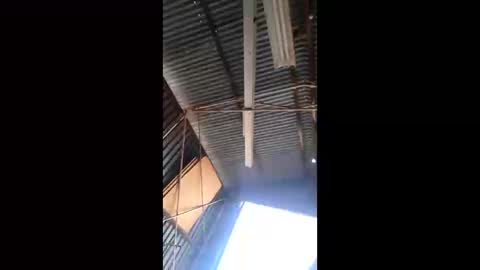 Snapshot of rustynuts95716 chatting on 10, 3, 2026 rustynuts95716 online show from 10, 3, 2026