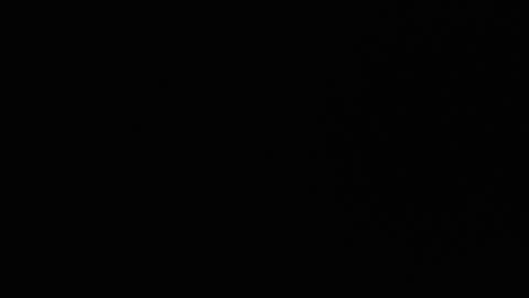 Snapshot of ryushi009 chatting on 24, 1, 2025 Ryushi009 online show from 24, 1, 2025