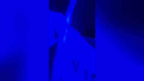 s1nn3r_1 online show from 19, 7, 2026