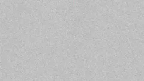 Leslie Beltrn online show from 6, 10, 2025