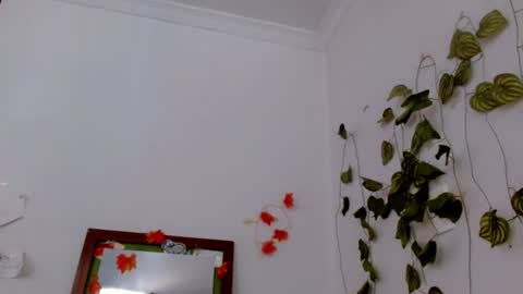 SABRI online show from 17, 6, 2026
