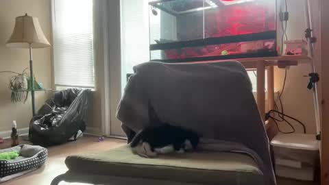 Snapshot of sabrosocockcarnesandwich chatting on 5, 10, 2025 sabrosocockcarnesandwich online show from 5, 10, 2025