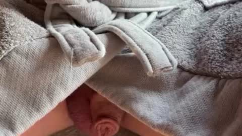 saconuts online show from 13, 2, 2026