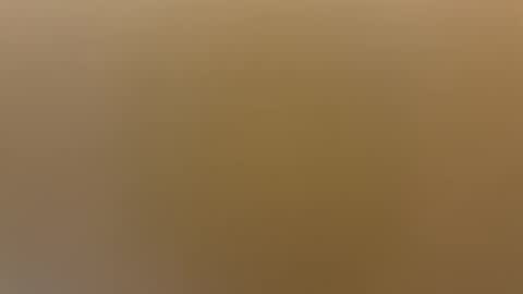 saconuts online show from 19, 4, 2026