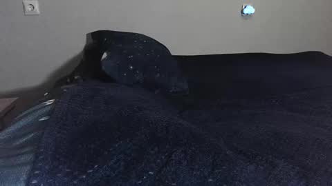 Snapshot of sademoface chatting on 17, 2, 2025 pluto online show from 17, 2, 2025