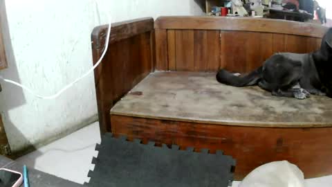 ruby  chocoholic cakeholic coffeeholic cookieholic online show from 24, 4, 2026