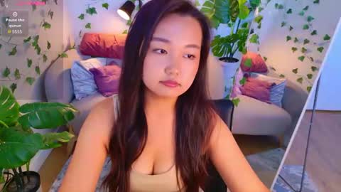 Sakura online show from 17, 7, 2026