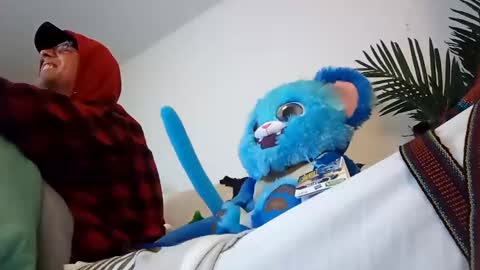 salis1981 online show from 22, 1, 2025