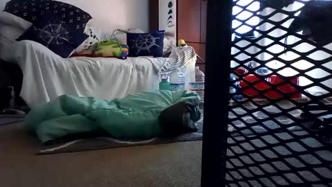 salis1981 online show from 7, 2, 2025