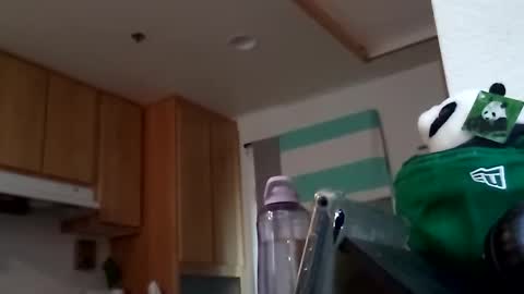 salis1981 online show from 18, 9, 2025