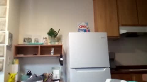 salis1981 online show from 10, 2, 2026