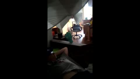 salis1981 online show from 21, 3, 2026