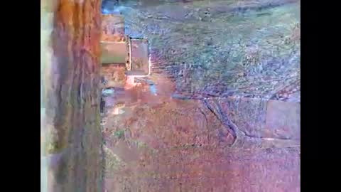 Snapshot of sam5554401727 chatting on 26, 4, 2026 sam5554401727 online show from 26, 4, 2026