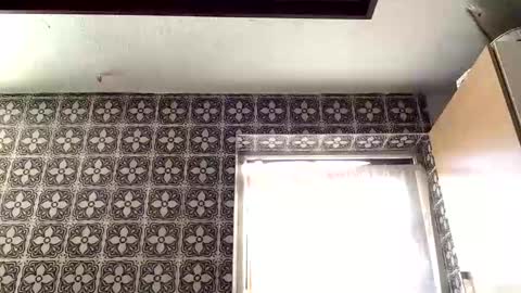 samegee online show from 18, 9, 2025