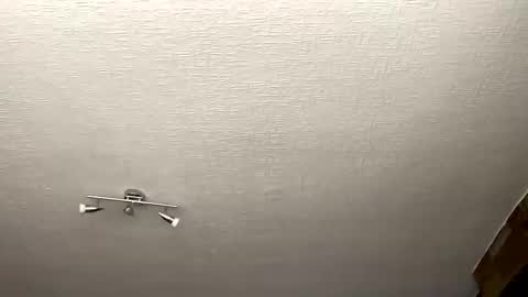 samegee online show from 1, 10, 2025