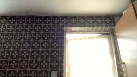 samegee online show from 16, 10, 2025