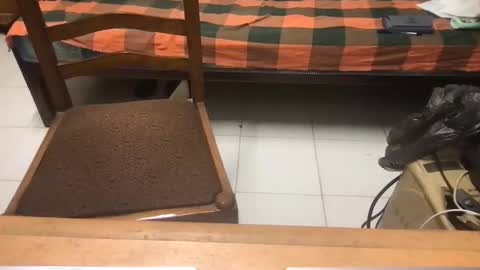 samhotbbc7 online show from 19, 10, 2025