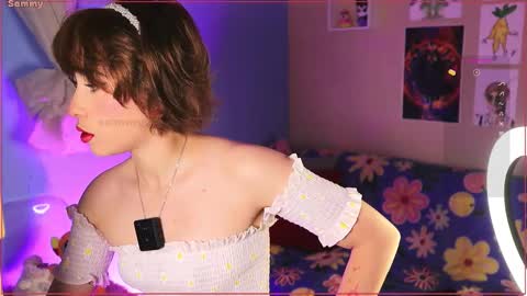 Sammy online show from 19, 11, 2025