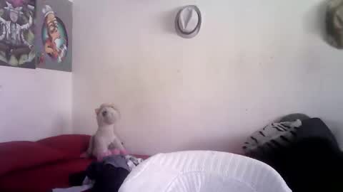 sammy_mcklain online show from 1, 3, 2026