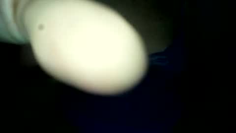 Snapshot of samuel_xlive287494 chatting on 20, 6, 2026 samuel_xlive287494 online show from 20, 6, 2026