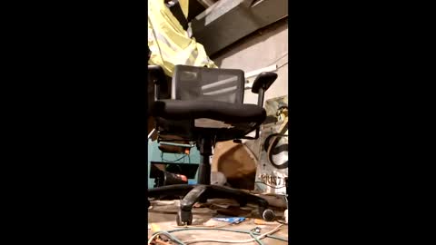 samueleknx online show from 24, 4, 2026