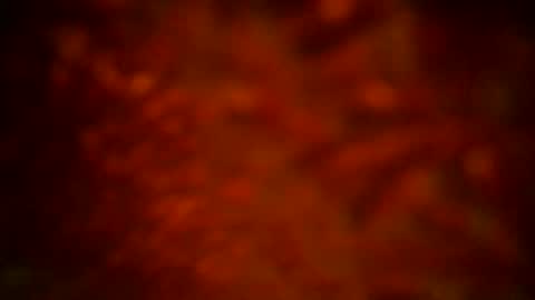 Snapshot of samueltal chatting on 16, 9, 2025 samueltal online show from 16, 9, 2025