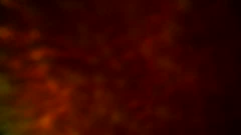 Snapshot of samueltal chatting on 19, 9, 2025 samueltal online show from 19, 9, 2025