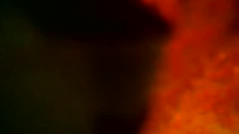 Snapshot of samueltal chatting on 14, 10, 2025 samueltal online show from 14, 10, 2025