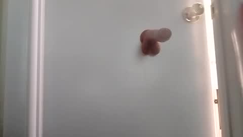 sanchezabsurdo online show from 6, 10, 2025