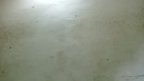 Snapshot of santichai561323 chatting on 24, 2, 2025 santichai561323 online show from 24, 2, 2025