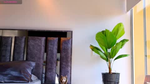 Santiago Seans online show from 5, 2, 2026