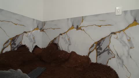 sara and thomas online show from 26, 11, 2025