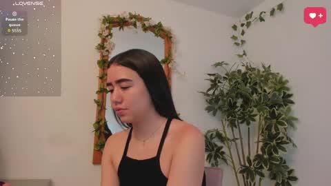      online show from 28, 5, 2026