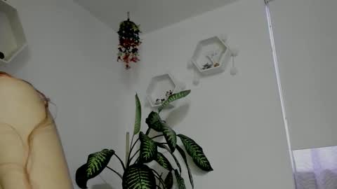 Saray  online show from 5, 2, 2026