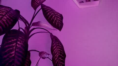 Saray  online show from 24, 3, 2026