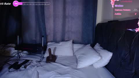 Snapshot of sashaharding1125 chatting on 8, 1, 2026 andrea harding online show from 8, 1, 2026