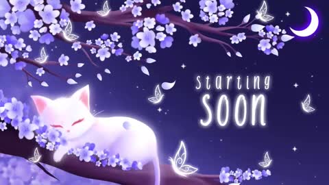 Sassy Sami Kittyn online show from 11, 3, 2025