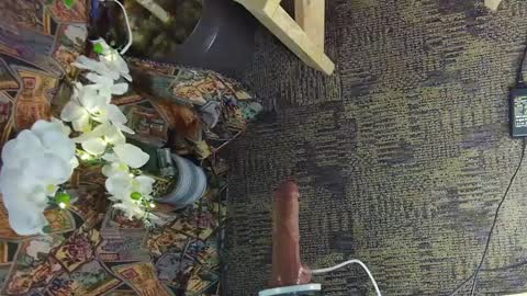 sassylatin45 online show from 2, 3, 2025