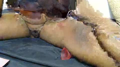 pety online show from 31, 1, 2026