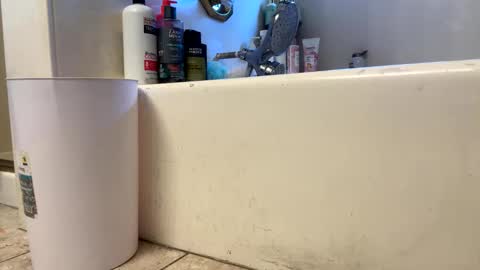 Snapshot of saucy_latino chatting on 1, 3, 2026 ElVergone online show from 1, 3, 2026