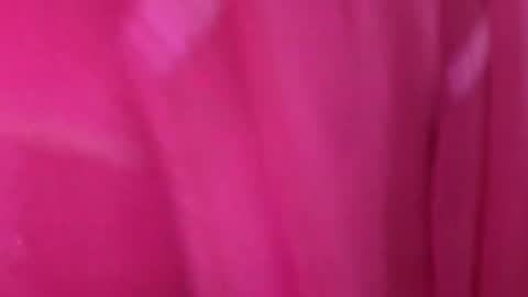 Anjali online show from 11, 3, 2026