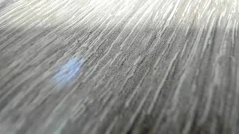 sayo_mao18 online show from 17, 3, 2026