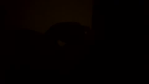 sc377003 online show from 11, 3, 2025