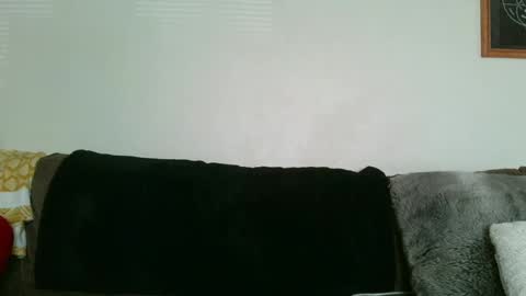 scarletbean online show from 8, 3, 2025