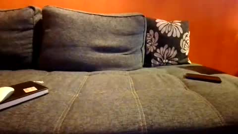 schmuhbaer1 online show from 14, 12, 2025